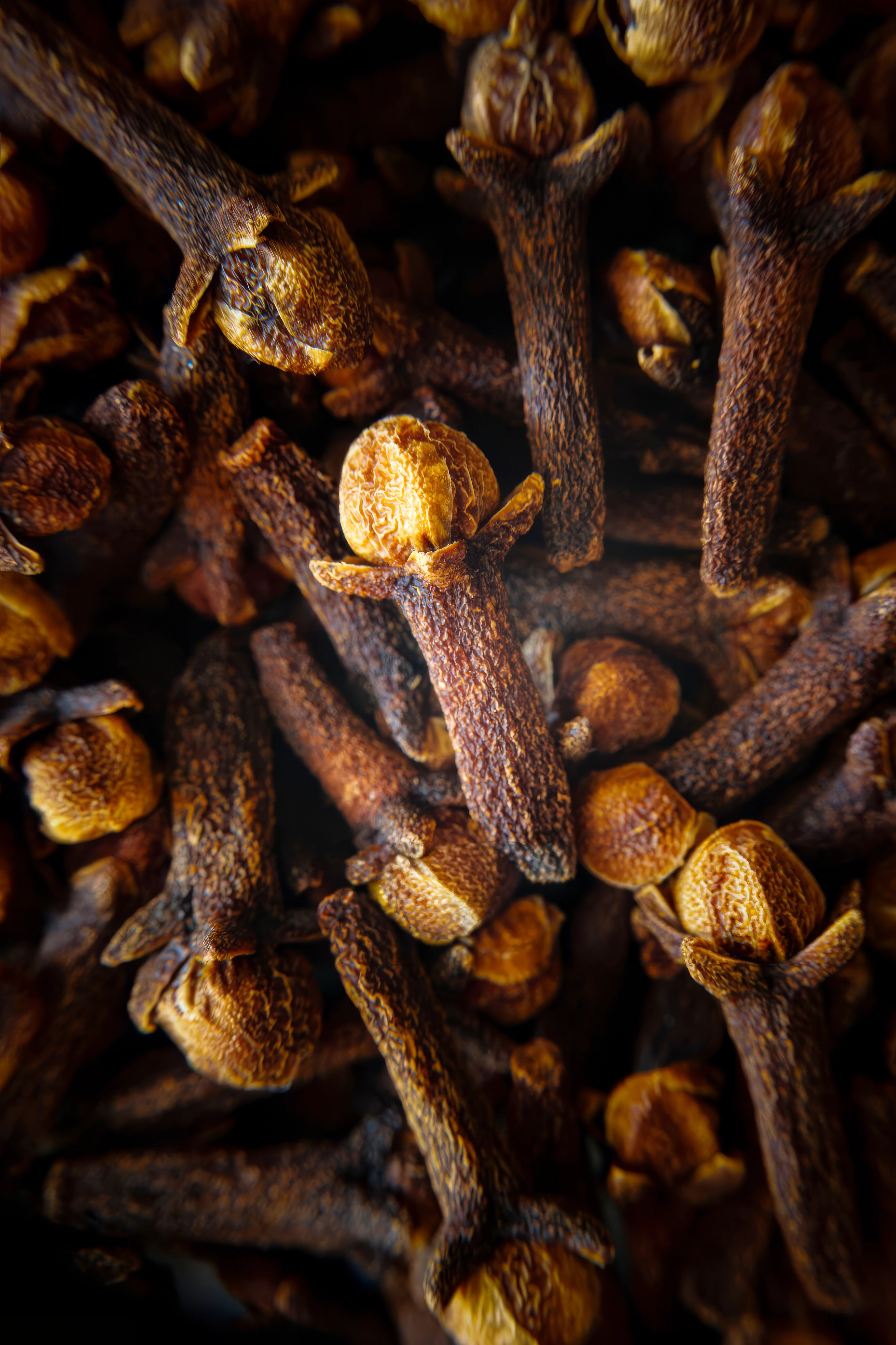 Clove Bud “Signature” Oil